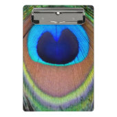 Colorful Peacock Feather Eyespot Mini Klembord (Voorkant)