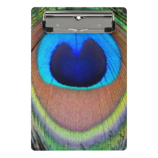 Colorful Peacock Feather Eyespot Mini Klembord (Voorkant)