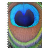 Colorful Peacock Feather Eyespot Notitieboek (Voorkant)
