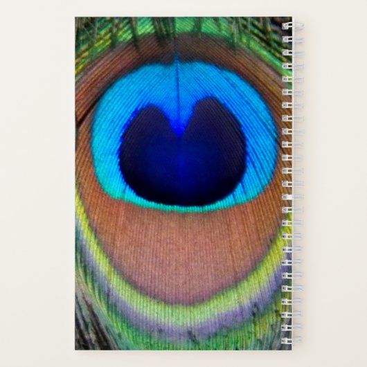 Colorful Peacock Feather Eyespot Notitieboek (Achterkant)