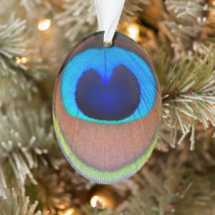 Colorful Peacock Feather Eyespot Ornament