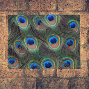 Colorful Peacock Feather Eyespots Patroon Deurmat