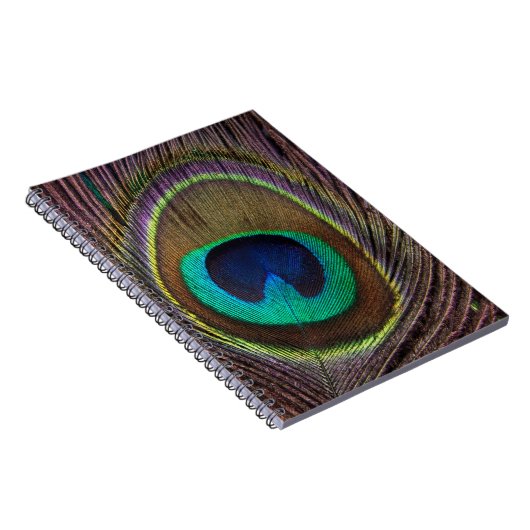 Colorful Peacock Feather Personalized Notitieboek (Rechterzijde)