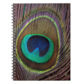 Colorful Peacock Feather Personalized Notitieboek (Voorkant)