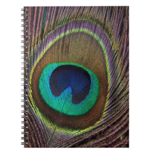 Colorful Peacock Feather Personalized Notitieboek
