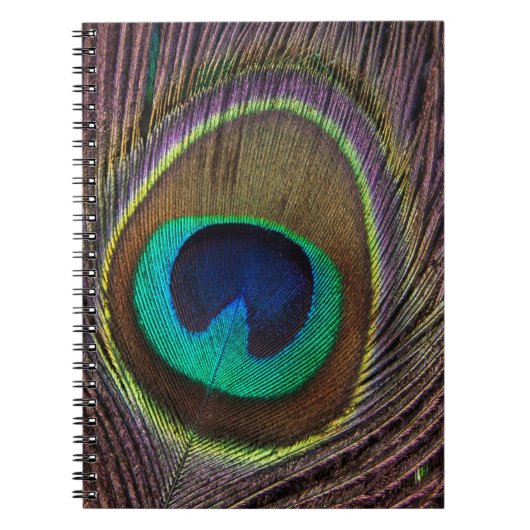 Colorful Peacock Feather Personalized Notitieboek (Voorkant)