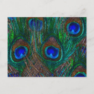 Colorful Peacock Feathers Etching Style Briefkaart