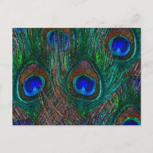 Colorful Peacock Feathers Etching Style Briefkaart (Voorkant)
