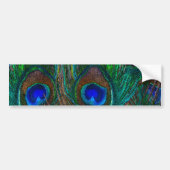 Colorful Peacock Feathers Etching Style Bumpersticker (Voorkant)