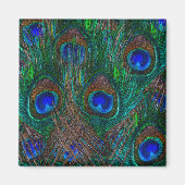 Colorful Peacock Feathers Etching Style Magneet (Voorkant)