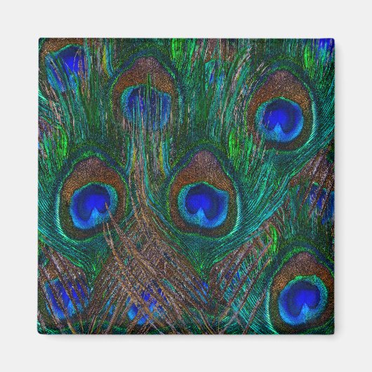 Colorful Peacock Feathers Etching Style Magneet (Voorkant)
