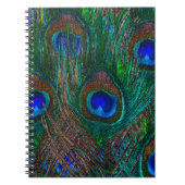 Colorful Peacock Feathers Etching Style Notitieboek (Voorkant)