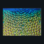 Colorful Peacock Feathers in een Art Deco Pattern Acryl Muurkunst<br><div class="desc">Afdrukken met een close-up van de mooie veren op de aap van een pauw die een voortreffelijk kunstdeco-achtig patroon vormt,  met de nadruk op de kleurrijke groene,  blauwe,  bronze en gele details van deze veren. Unieke mooie wandbekleding voor vogel- en natuur-liefhebbers. Foto genomen in Arcadia,  Californië.</div>
