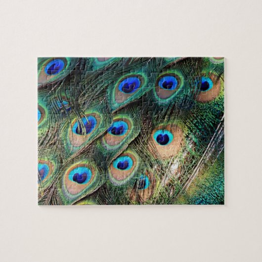 Colorful Peacock Feathers Legpuzzel (Horizontaal)