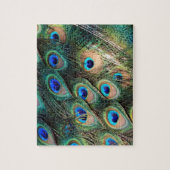 Colorful Peacock Feathers Legpuzzel (Verticaal)