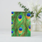 Colorful Peacock Feathers Print Briefkaart (Staand voorkant)