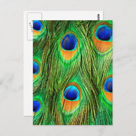 Colorful Peacock Feathers Print Briefkaart (Voorkant / Achterkant)