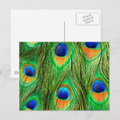 Colorful Peacock Feathers Print Briefkaart (Voorkant / Achterkant)