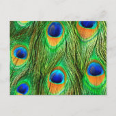 Colorful Peacock Feathers Print Briefkaart (Voorkant)