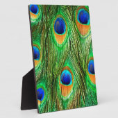 Colorful Peacock Feathers Print Fotoplaat (Zijkant)