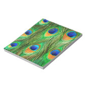 Colorful Peacock Feathers Print Notitieblok (Linkerzijde)