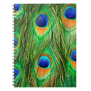 Colorful Peacock Feathers Print Notitieboek