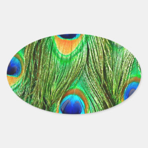 Colorful Peacock Feathers Print Ovale Sticker