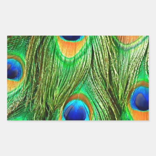 Colorful Peacock Feathers Print Rechthoekige Sticker (Voorkant)