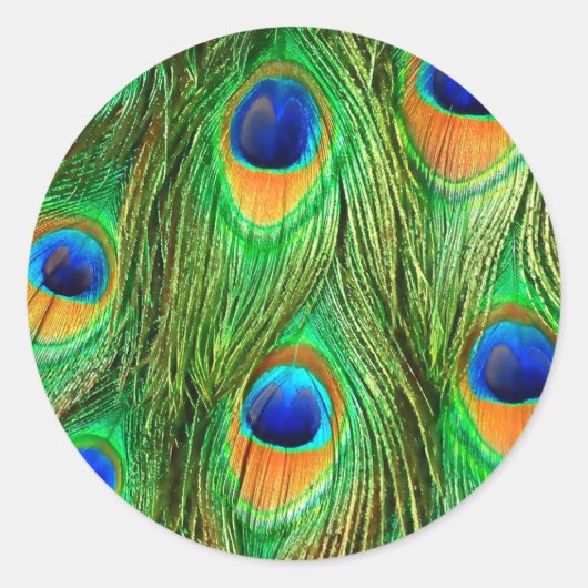 Colorful Peacock Feathers Print Ronde Sticker (Voorkant)