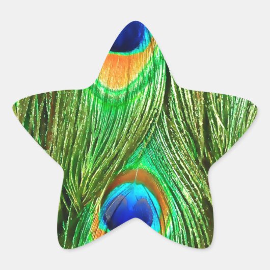 Colorful Peacock Feathers Print Ster Sticker (Voorkant)