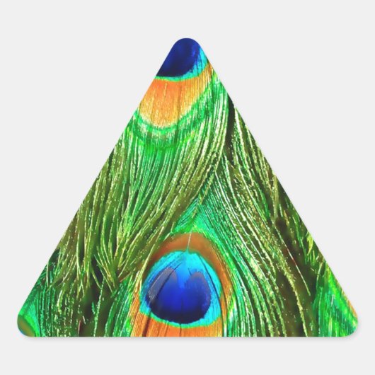 Colorful Peacock Feathers Print Sticker (Voorkant)