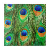 Colorful Peacock Feathers Print Tegeltje (Voorkant)