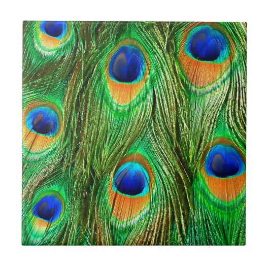 Colorful Peacock Feathers Print Tegeltje (Voorkant)