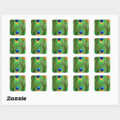 Colorful Peacock Feathers Print Vierkante Sticker (Vel)