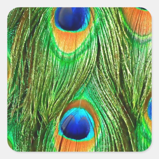 Colorful Peacock Feathers Print Vierkante Sticker (Voorkant)