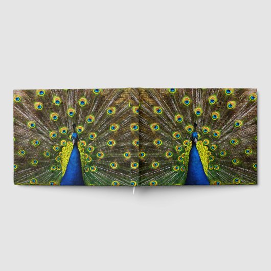 Colorful peacock gastenboek (Volledig)