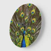 Colorful peacock grote klok (Hoek)