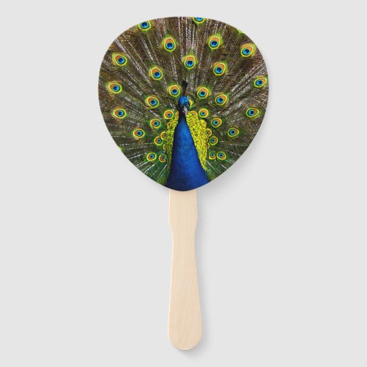 Colorful peacock handwaaier (Achterkant)