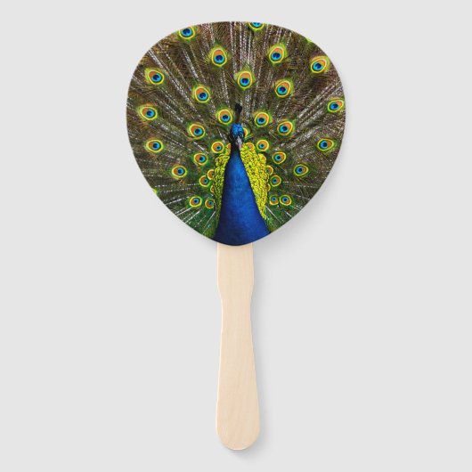 Colorful peacock handwaaier (Voorkant)