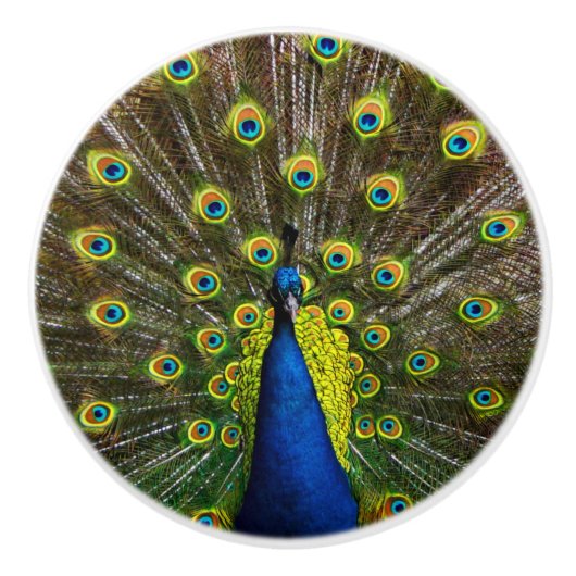 Colorful peacock keramische knop (Voorkant)