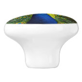 Colorful peacock keramische knop (Zijkant)