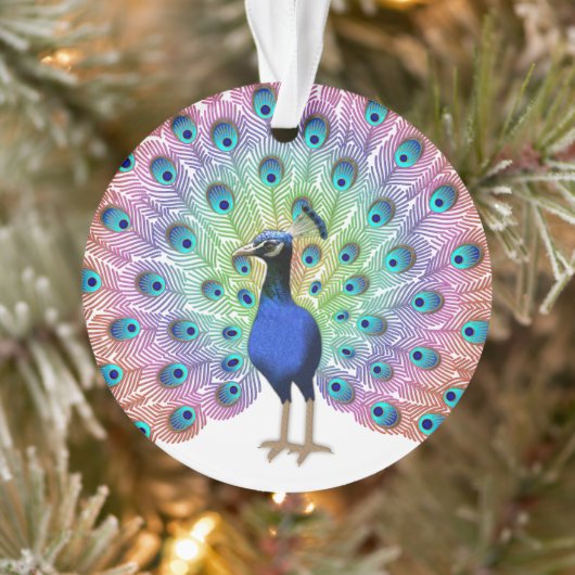 Colorful Peacock Ornament (Boom)
