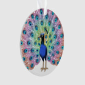 Colorful Peacock Ornament (voorkant)