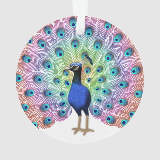 Colorful Peacock Ornament (achterkant)
