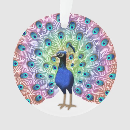 Colorful Peacock Ornament (voorkant)