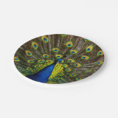 Colorful peacock papieren bordje (Gekanteld)