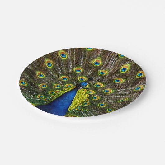Colorful peacock papieren bordje (Gekanteld)