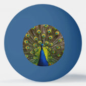 Colorful peacock pingpongbal (Voorkant)