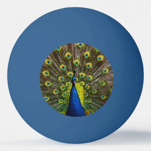 Colorful peacock pingpongbal (Voorkant)