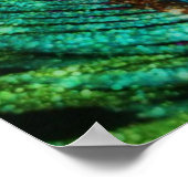 Colorful Peacock Poster (Hoek)